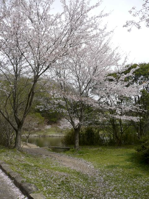 004.jpg