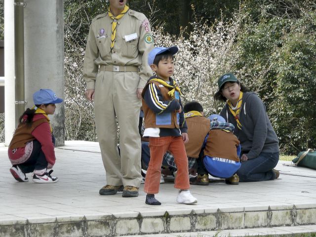 115.jpg