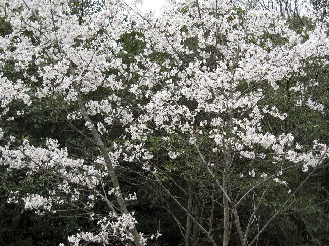 img_1595.jpg