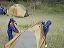 dscn0967