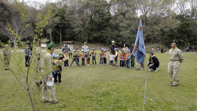 dsc00686.jpg