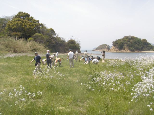 p1010044.jpg
