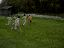 dscn9402