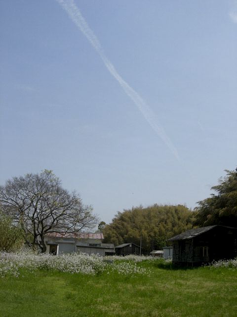 dscn9235.jpg