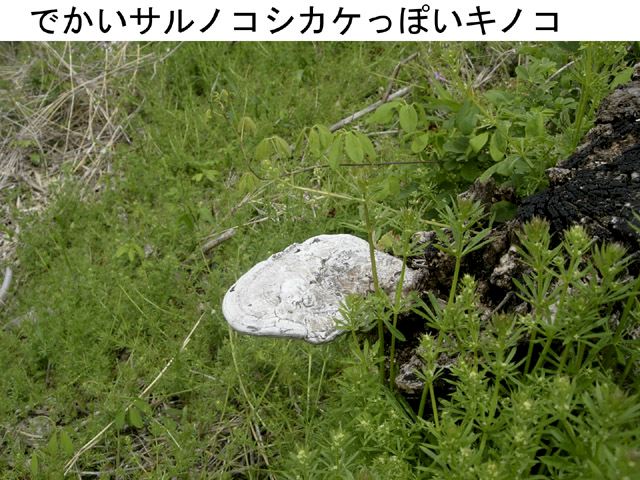 dscn9268.jpg
