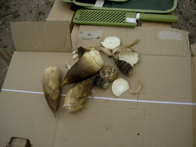 dscn9272.jpg