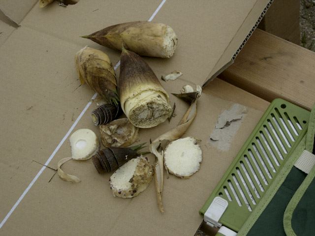 dscn9273.jpg