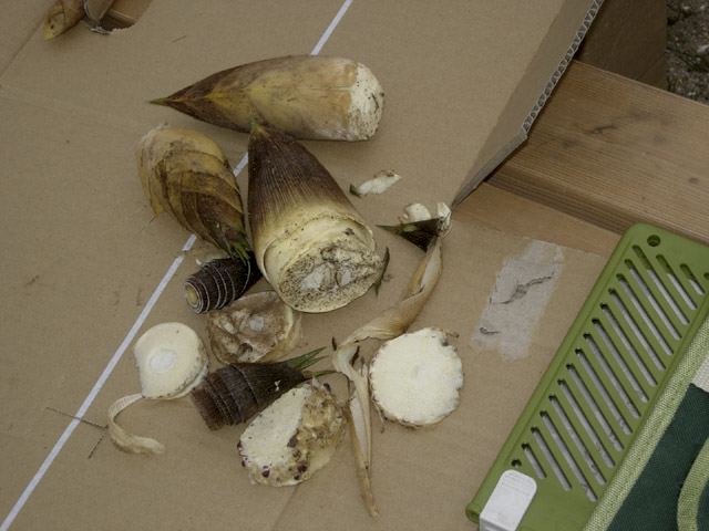 dscn9274.jpg