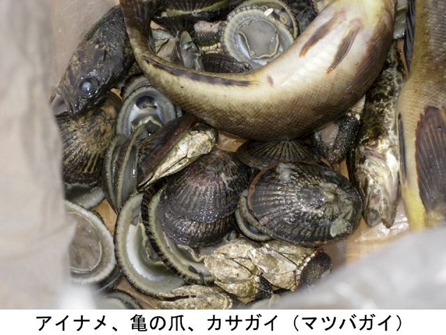 dscn9279.jpg