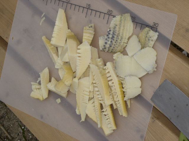 dscn9297.jpg