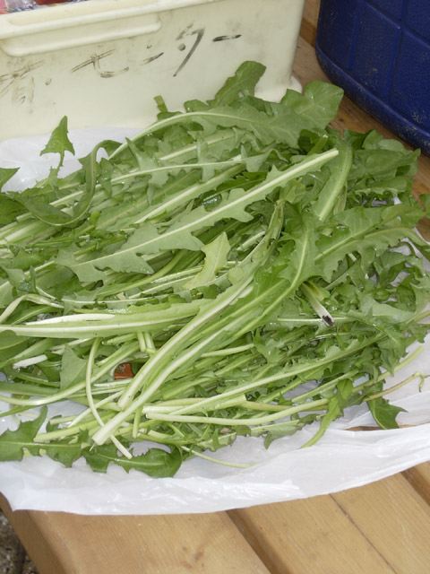 dscn9298.jpg
