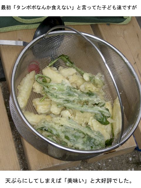 dscn9299.jpg