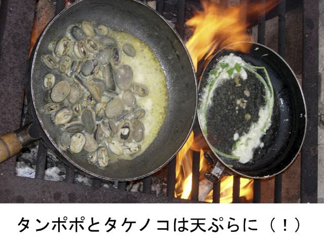 dscn9300.jpg