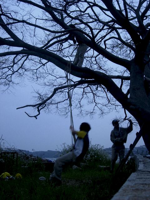 dscn9305.jpg