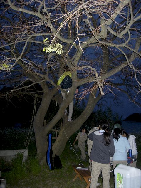 dscn9310.jpg
