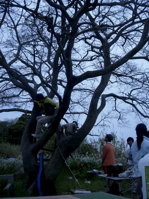 dscn9311.jpg