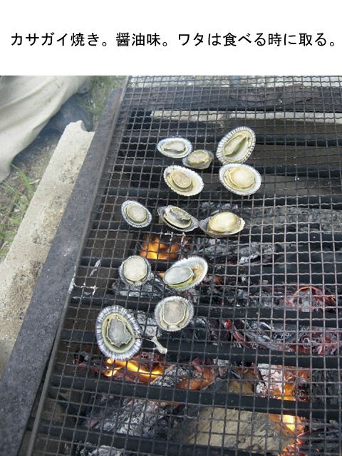 dscn9331.jpg
