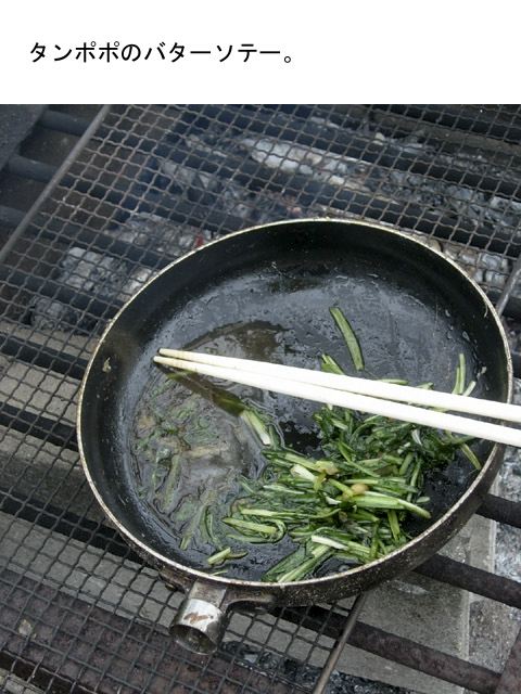 dscn9335.jpg