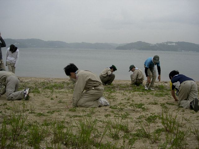 dscn9346.jpg