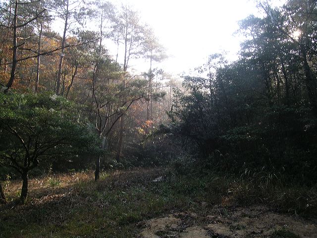 dscn3698.jpg