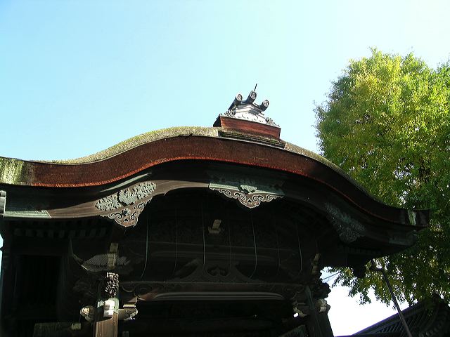 dscn3729.jpg